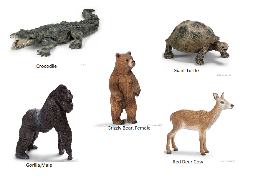 schleich wild animals set